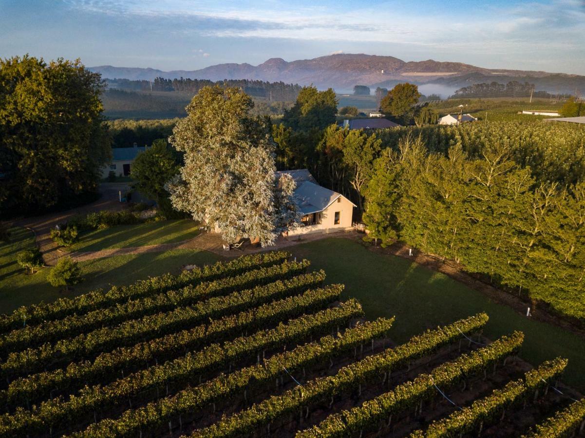 Belfield Wines And Farm Cottages Ґрабоу Екстер'єр фото